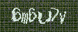 CAPTCHA_picture