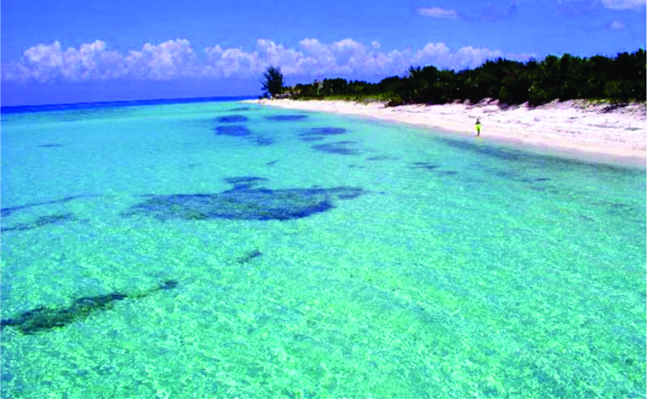 Cozumel catamaran charter; trip with Yacht Flex to Cozumel