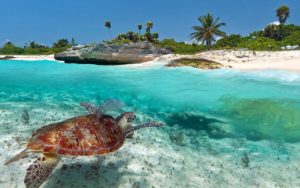 playa-del-carmen-yacht-rental