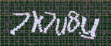 CAPTCHA_picture