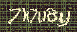 CAPTCHA_picture